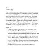 Mokėjimų balanso deficito finansavimas Lenkijoje 2 puslapis