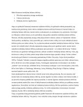 Mokėjimų balanso deficito finansavimas Lenkijoje 6 puslapis