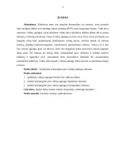 Prisijungimo prie valiutų sąjungų minusai 2 puslapis