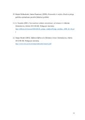 Prisijungimo prie valiutų sąjungų minusų identifikavimas 10 puslapis