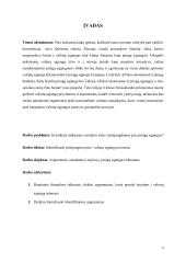 Prisijungimo prie valiutų sąjungų minusų identifikavimas 2 puslapis