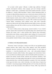 Prisijungimo prie valiutų sąjungų minusų identifikavimas 4 puslapis