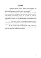 Prisijungimo prie valiutų sąjungų minusų identifikavimas 8 puslapis