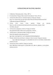 Realaus valiutos kurso įtaka nominaliam valiutos kursui 12 puslapis