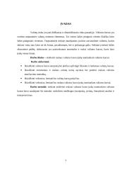 Realaus valiutos kurso įtaka nominaliam valiutos kursui 2 puslapis