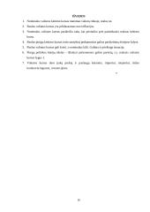 Realaus valiutos kurso įtaka nominaliam valiutos kursui JAV, Graikijoje ir Rusijoje 9 puslapis