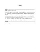 Rublio kurso perspektyvos