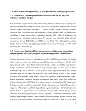 Rublio kurso perspektyvos 5 puslapis