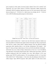 Rublio kurso perspektyvos 6 puslapis