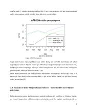 Rublio kurso perspektyvos 7 puslapis