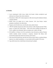 Rublio kurso perspektyvos 9 puslapis