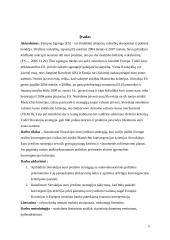 Slovakijos euro įvedimo strategijos įvertinimas 2 puslapis