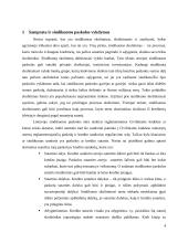 Sindikuoto skolinimo(si) užsienio rinkose trūkumai 3 puslapis