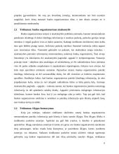 Sindikuoto skolinimo(si) užsienio rinkose trūkumai 5 puslapis