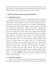 Sindikuoto skolinimo(si) užsienio rinkose trūkumai 6 puslapis