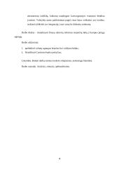 Stojančiųjų į Europos pinigų sąjungą šalių finansų sektorių būtinos reformos 3 puslapis