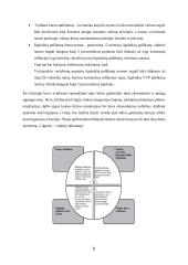 Stojančiųjų į Europos pinigų sąjungą šalių finansų sektorių būtinos reformos 7 puslapis