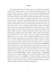 Tarptautinio atsiskaitymų banko (TAB) vaidmuo bankų priežiūros sityje  2 puslapis