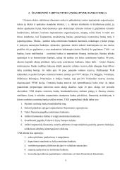 Tarptautinio atsiskaitymų banko (TAB) vaidmuo bankų priežiūros sityje  4 puslapis