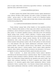 Tarptautinio atsiskaitymų banko (TAB) vaidmuo bankų priežiūros sityje  9 puslapis