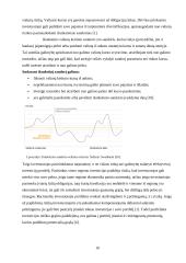 Tarptautinė obligacijų rinka, jos patrauklumas investuotojams 9 puslapis