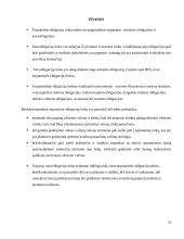 Tarptautinė obligacijų rinka, patrauklumas besiskolinantiems 10 puslapis