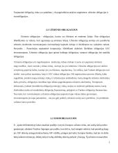 Tarptautinė obligacijų rinka, patrauklumas besiskolinantiems 4 puslapis