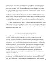 Tarptautinė obligacijų rinka, patrauklumas besiskolinantiems 5 puslapis