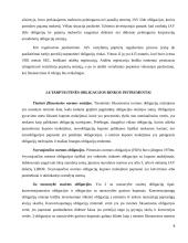 Tarptautinė obligacijų rinka, patrauklumas besiskolinantiems 7 puslapis