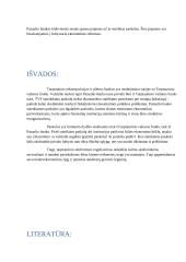 Tarptautinio skolinimosi reguliavimas 8 puslapis