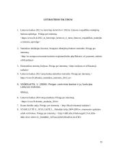 Einamosios sąskaitos pertekliaus priežastys 14 puslapis