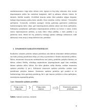 Einamosios sąskaitos pertekliaus priežastys 7 puslapis