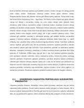 Einamosios sąskaitos pertekliaus priežastys 8 puslapis