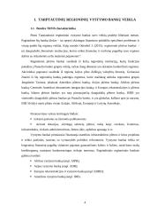 Tarptautinių regioninių vystymo bankų veiklos įgyvendinimo sunkumai 3 puslapis