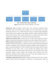 Tarptautinio skolinimosi reguliavimas ir kodėl jis reikalingas? 10 puslapis