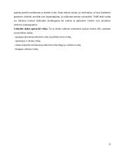 Tarptautinio skolinimosi reguliavimas ir kodėl jis reikalingas? 11 puslapis