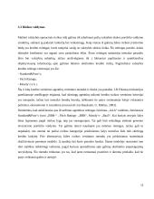 Tarptautinio skolinimosi reguliavimas ir kodėl jis reikalingas? 12 puslapis