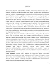 Tarptautinio skolinimosi reguliavimas ir kodėl jis reikalingas? 2 puslapis