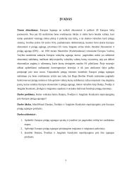 Neprisijungimo prie Europos pinigų sąjungos priežastys (Danija, Švedija ir Jungtinė Karalystė)  2 puslapis