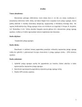 Tarptautinių pinigų sąjungų teisiniai aspektai ir jų veikla 2 puslapis