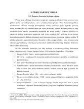 Tarptautinių pinigų sąjungų teisiniai aspektai ir jų veikla 6 puslapis