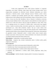 Valiutų kursų prognozavimo būdai 2 puslapis