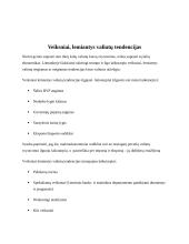 USD  ir Japonijos jenos tendencijas lemiantys veiksniai 4 puslapis