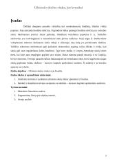 Užsienio skolos rinka, jos bruožai 2 puslapis