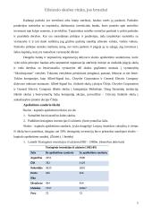 Užsienio skolos rinka, jos bruožai 4 puslapis