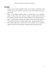 Užsienio skolos rinka, jos bruožai 8 puslapis