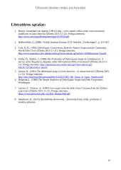 Užsienio skolos rinka, jos bruožai 9 puslapis