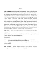 Užsienio bankų veiklos reguliavimo ypatumai JAV 2 puslapis