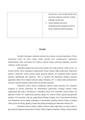 Užsienio bankų veiklos reguliavimo ypatumai JAV 9 puslapis