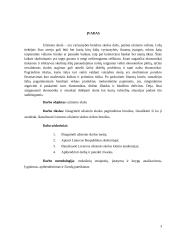 Užsienio skola, jos rinkos bruožai 2 puslapis